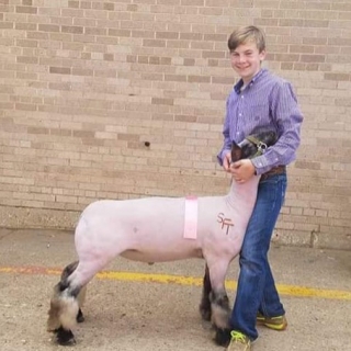 Heith lewis 4th place lamb state fair