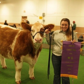 Paige Grand Champion Steer Gaines County Show (1)