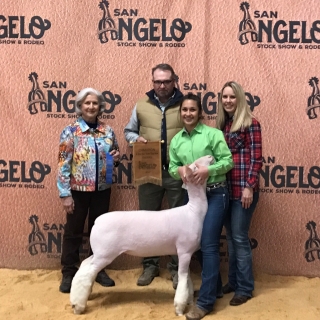 bailee sanchez SA show Breed Champ wether dam