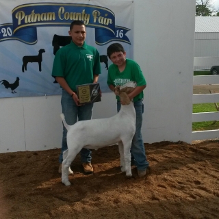 bryce bunnell, Putnam County Goat Show, Grand Champion Goat,