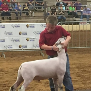 cayhill isom 4th place class 5 state fair