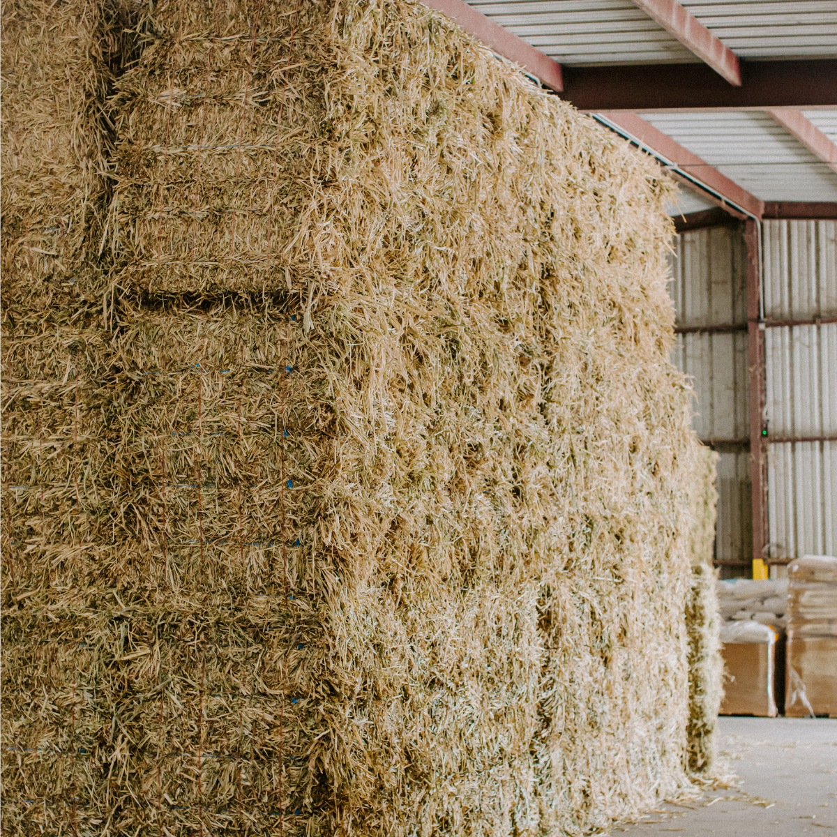 Hay Recommendations