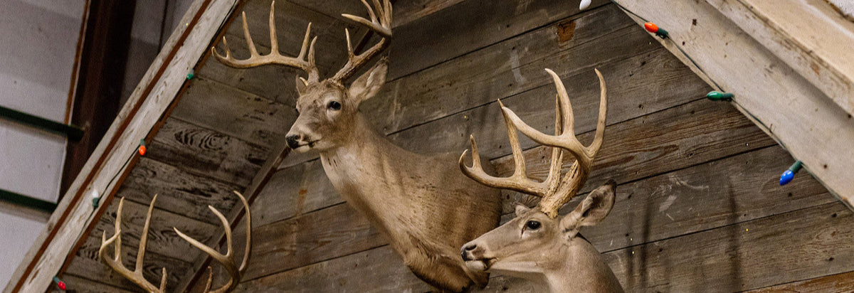 Deer Ration Wildlife - Jacoby Feed & Seed