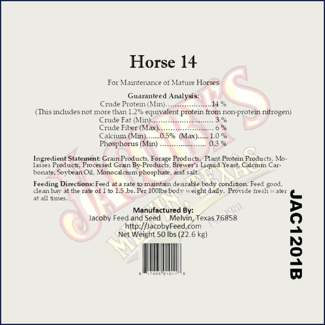 Horse 14