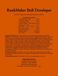 RankMaker Bull Developer