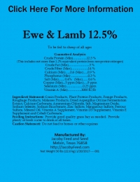 Ewe & Lamb