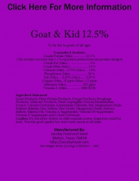 Goat & Kid