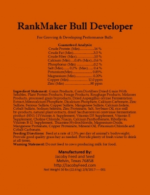 RankMaker Bull Developer 1