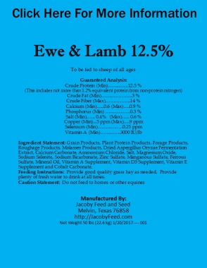 Ewe & Lamb 1