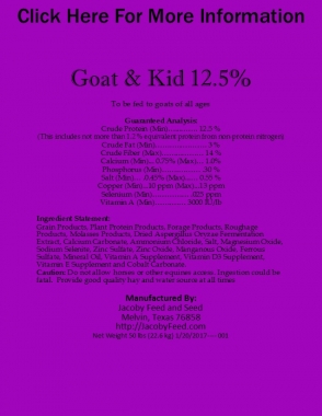 Goat & Kid 1