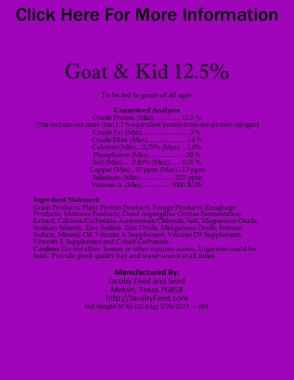 Goat & Kid 1