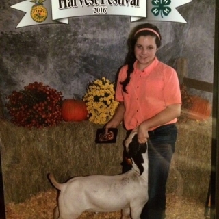 Brooklyn Gilliland, Mike Harbour breeder, A&M Farm Supply-Longview Tx, Harvest Festival County Show, Reserve Champion Goat