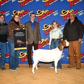 CORRIE SMITH BREEDING gOAT SAN ANTONIO CHAMPION