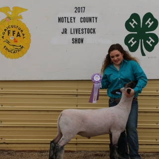 Carley Turner Reserve Champion Lamb