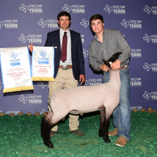 Dylan Chilcutt - Res Suffolk Ram - State Fair