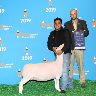 Isaiah losoya Open Champion Ewe