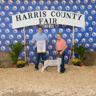 Jessie Dykes, Shrank Show Lambs, Reserve Champion goat, Harris County Fair