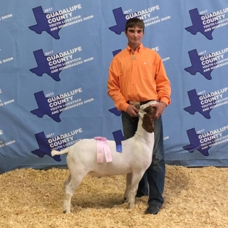 Kelton Wolter RC HW Guadalupe County Show