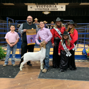 Logan johnson reserve champion