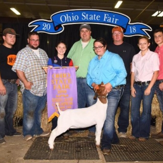 Paige Stahl Ohio St. Fair