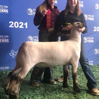 Presley goodner state fair 2nd