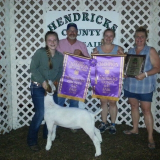 Shelby Mathis, Hendricks County Fair, Grand Champion Goat, 