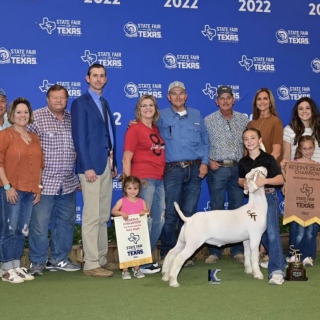 State Fair Res Grand Goat