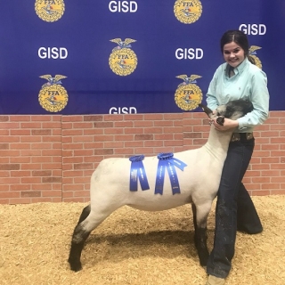 Taylor sanders GISD FFA Show