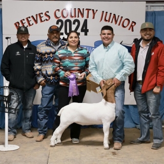 aaren tarango county RG goat