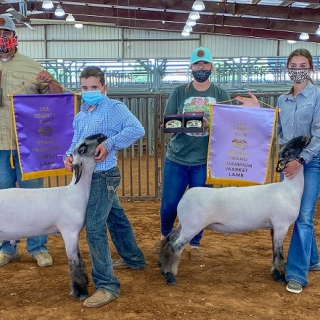 addison roberson lea co fair