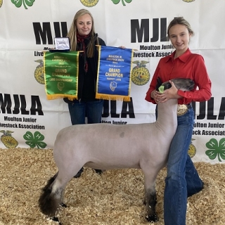 addisyn greive grand champion county