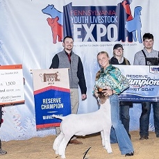 allie zeigler RC Goat Pennsylvania Youth LS ExPO