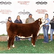 arena turner 3rd polled hereford FW
