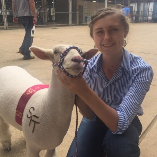 ashley hahn 2nd place southdown state fair