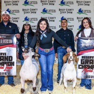 audrea peralez Res grand lamb county