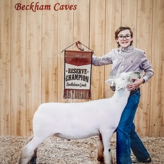 beckham caves county