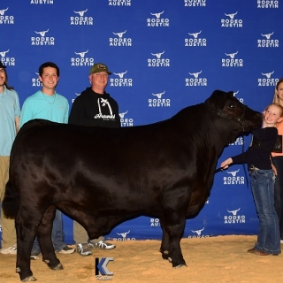 blakely bensen breed champ steer