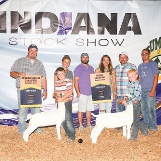 brantley platt champ and reserve indiana stock show