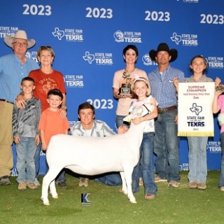 brax state fair supreme ewe