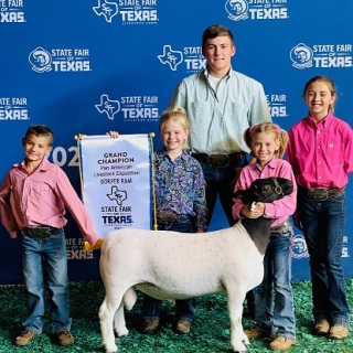 braxtyn champion ram state fair