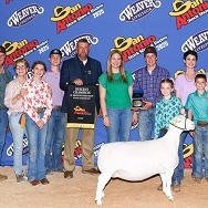braxtyn halamicek Res Champ White Dorper San Antonio