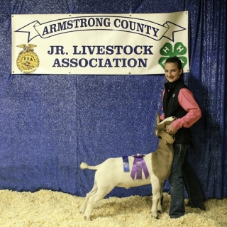 brooklyn lemons armstrong co GC