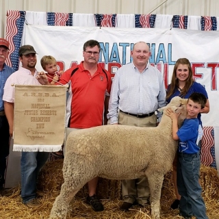 bryar sherrill nat.jr.livestock show