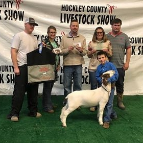 bryar sherrill res goat hockley co