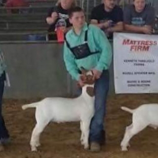bryce hardy 1st place class 6 east texas state fair