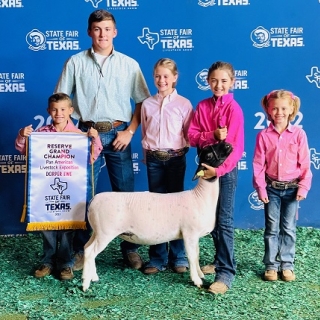 brynlee reserve champion ewe state fair