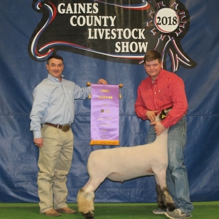 carson millican county lamb