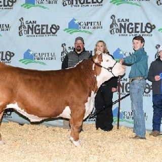 carter aldridge SA 1st place steer