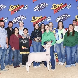 cassidy westbrook champion san antonio