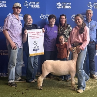 cassy mcentee state fair res champion ewe